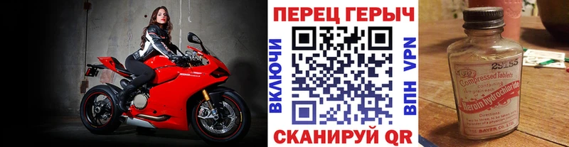 ГЕРОИН белый  цены   кракен сайт  Каргополь 