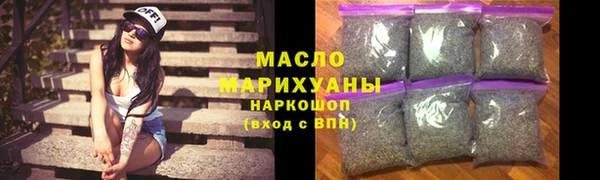 гидра Кодинск