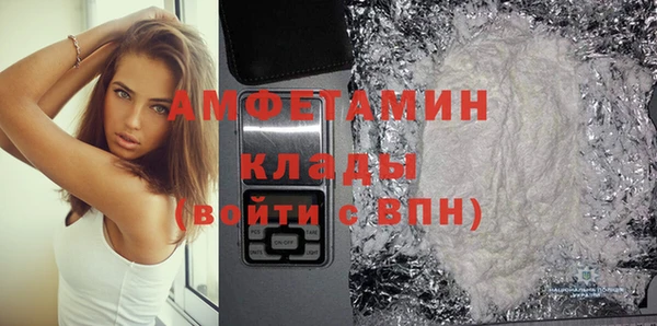 гидра Кодинск