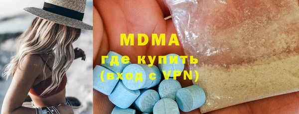 гидра Кодинск