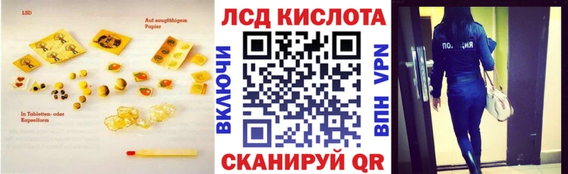 продажа наркотиков  Каргополь  МЕГА онион  Лсд 25 экстази ecstasy 