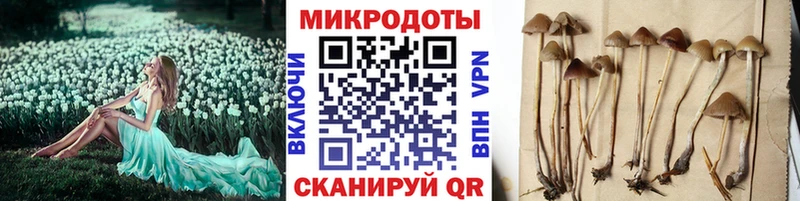 Галлюциногенные грибы Magic Shrooms  магазин  наркотиков  Каргополь 